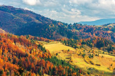dağlarda parlak sonbahar manzarası