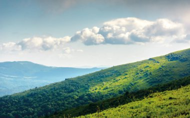 dağ sırtı yamaca otsu çayır