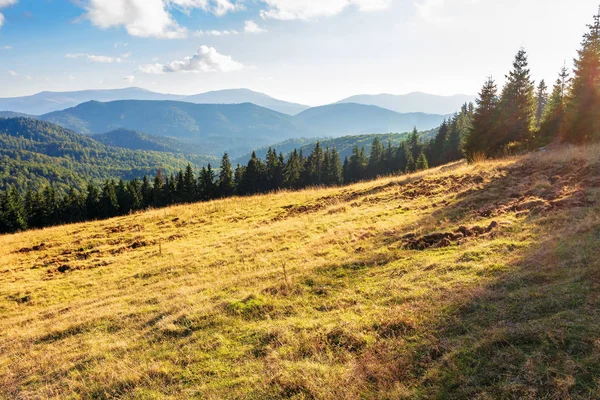 Paysage nocturne dans les montagnes d'apuseni — Photo