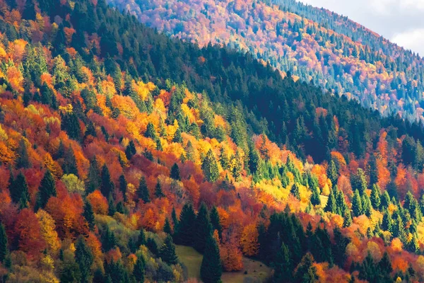 Paisagem de outono brilhante em montanhas — Fotografia de Stock