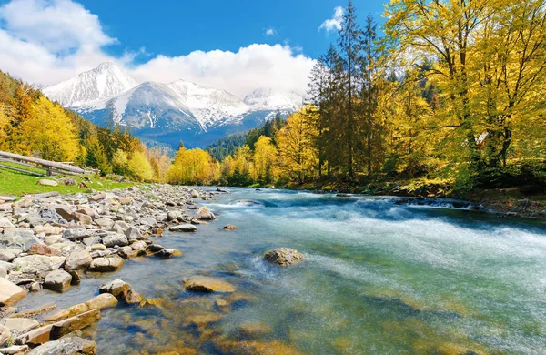 Dağlarda orman Nehri yakınında muhteşem gün — Stok fotoğraf