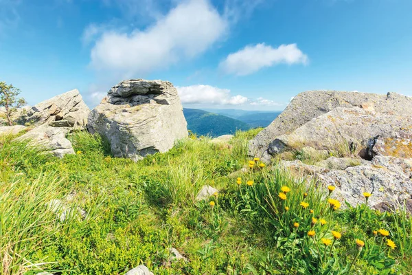 Verano escena de la naturaleza en la cima de una colina — Foto de Stock