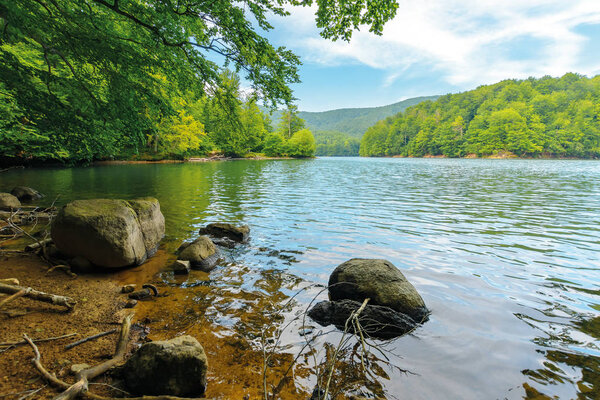 beautiful summer scenery near the mountain lake