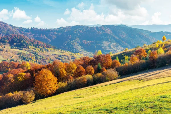 Soleado otoño tarde montaña paisaje — Foto de Stock