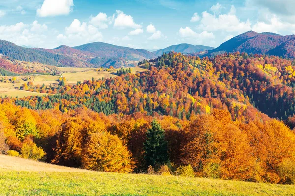 Soleado otoño tarde montaña paisaje — Foto de Stock