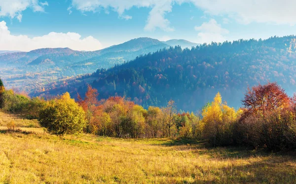 Slunečné podzimní ráno na venkově — Stock fotografie