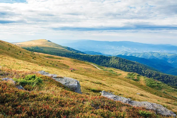 Rocks on the grassy meadow in mountains — Stock Photo, Image