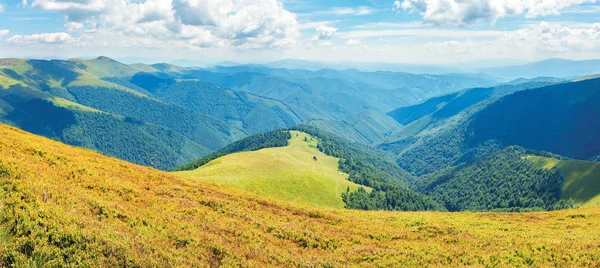 山のパノラマ晴れた夏の風景 — ストック写真