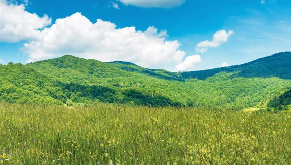 Kırsal alanda çimenli dağlar — Stok fotoğraf