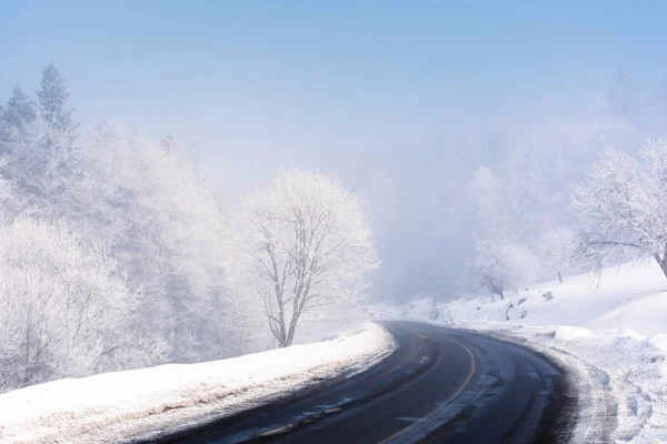 Дорога поворачивает в лес зимой — стоковое фото