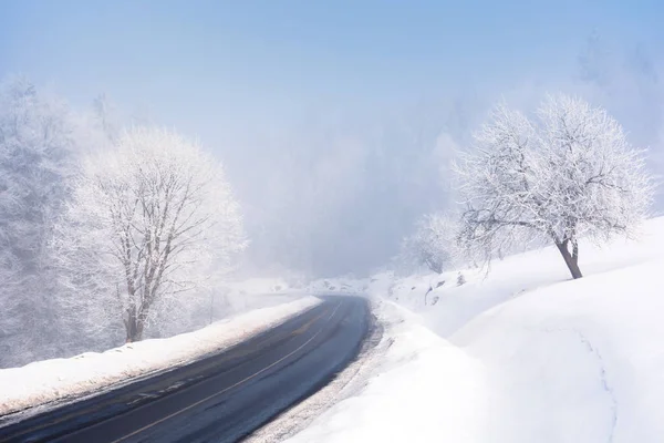 Strada attraverso la foresta in inverno — Foto Stock