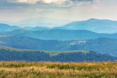 çimenli çayır ve karpatların tepeleri