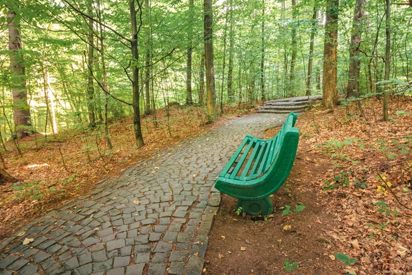 Panchina vicino al sentiero in pietra nel bosco — Foto Stock