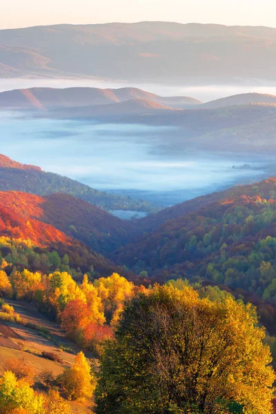 Прекрасний схід сонця в горах — стокове фото