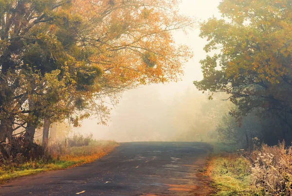 Asphaltierte Landstraße an einem nebligen Herbstmorgen — Stockfoto