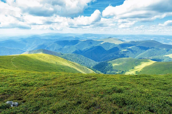 Colinas gramíneas e encostas de carpathians — Fotografia de Stock