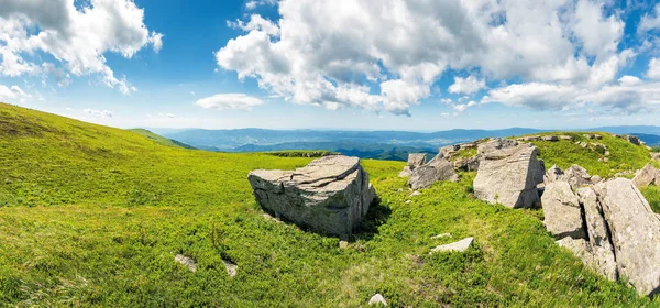 Panorama av en fjäll äng med vaggar — Stockfoto