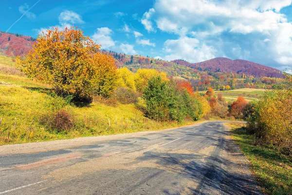 Stará krakovaná venkovská silnice na podzim — Stock fotografie