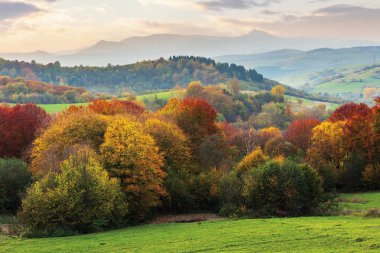 alacakaranlıkta dağda güzel sonbahar kırsal