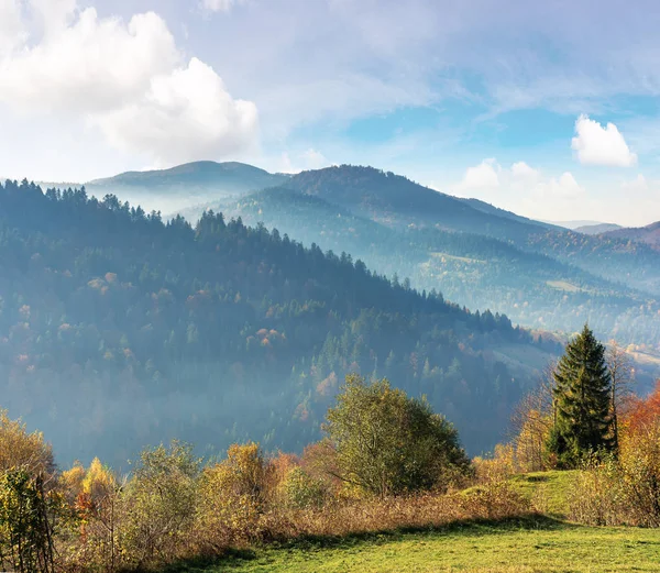 Bella campagna in montagna — Foto Stock