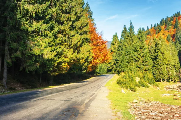 Estrada através da floresta no outono — Fotografia de Stock