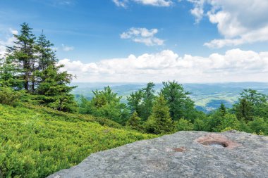 vadideki çimenli tepeden görünümü