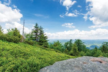 vadideki çimenli tepeden görünümü