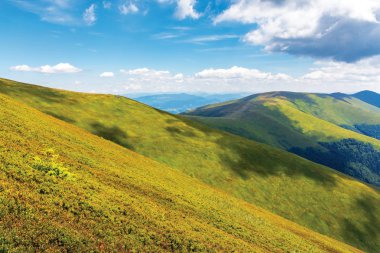 wonderful summer landscape in mountain