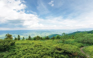 vadideki çimenli tepeden görünümü
