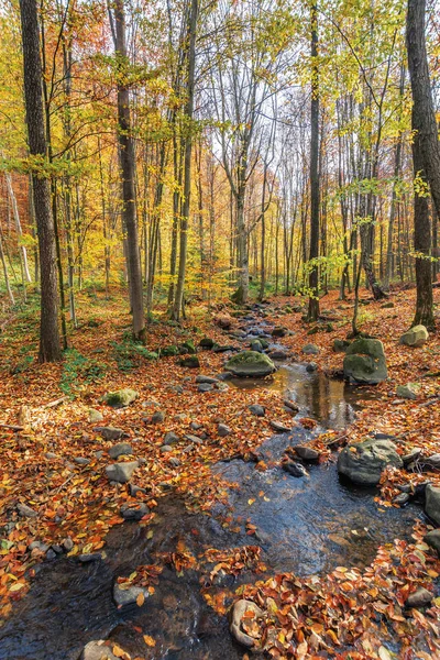 Pequeno riacho entre rocha na floresta — Fotografia de Stock