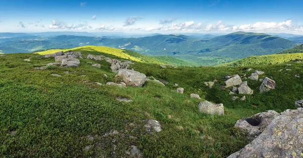 Hermoso panorama de verano en las montañas — Foto de Stock