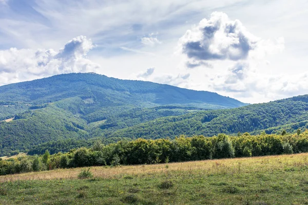 Bergige Landschaft im Frühherbst — Stockfoto