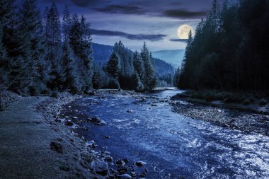 gece ormandan dolayan dağ nehri