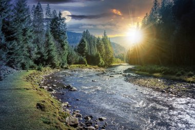 ormanda dağ nehri üzerinde zaman değişikliği