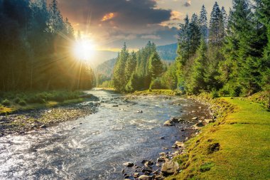 gün batımında ormandan dolayan dağ nehri