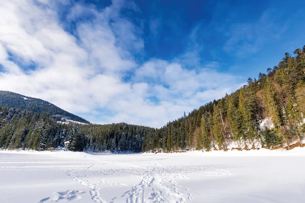 Dondurulmuş ve karla kaplı göl synevyr — Stok fotoğraf