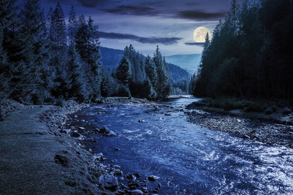 mountain river winding through forest at night