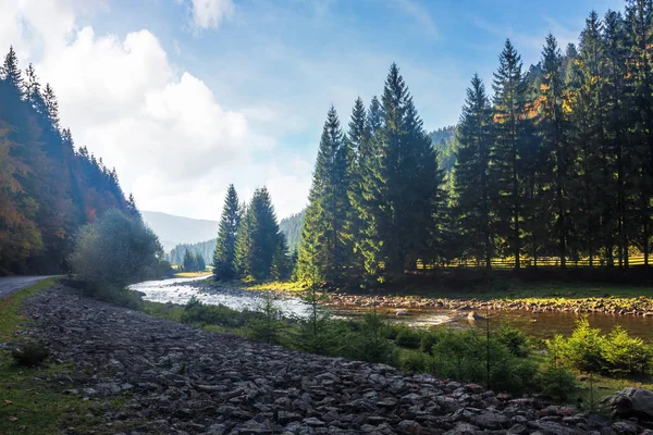 森をくぐり抜ける山の川 — ストック写真