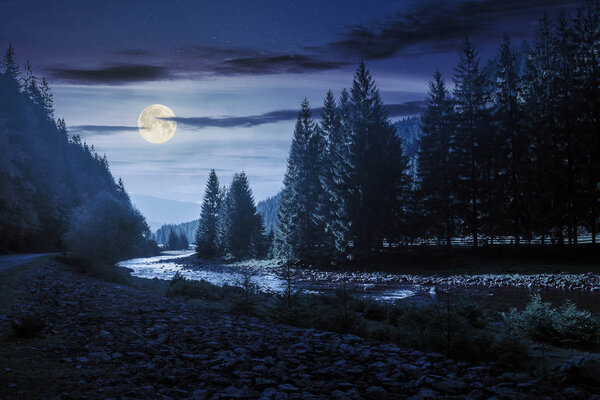 mountain river winding through forest at night