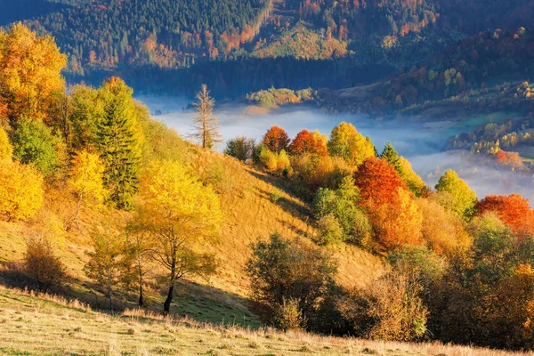 Het platteland in de bergen in de ochtend — Stockfoto