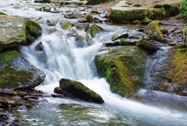 yosunlu kayalar arasında hızlı orman buhar