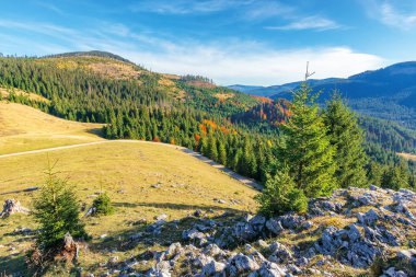apuseni dağlarda güzel gündoğumu manzara