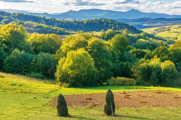 Úžasná krajina v horách — Stock fotografie