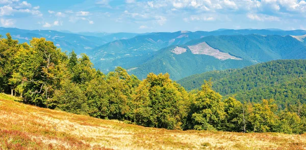 Karpaten landschap in de vroege herfst — Stockfoto