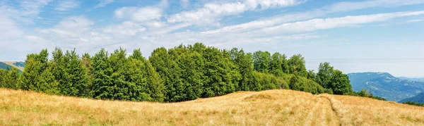 yaz sonunda karpat kırsal