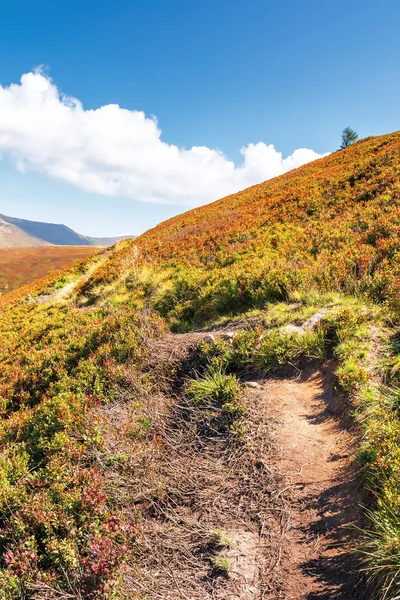 Path uphill the mountain — Stock Photo, Image