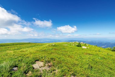 bir tepenin üstünde kaya ile çimenli çayır