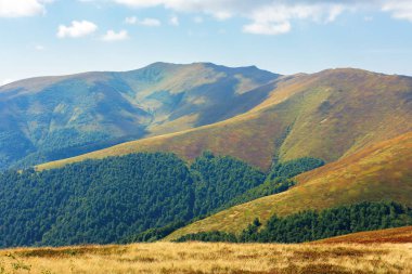 güzel dağ manzarası