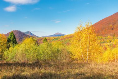 Dağlarda güzel sonbahar sahne
