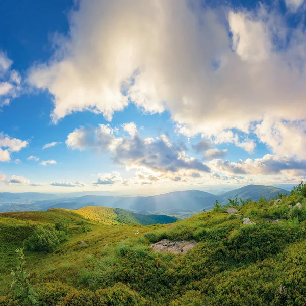 Geweldig zomer landschap bij zonsondergang — Stockfoto